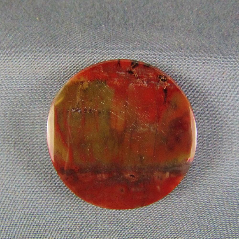 Petrified Wood Cabochon