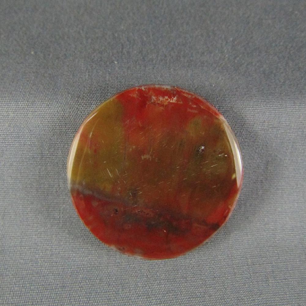 Petrified Wood Cabochon
