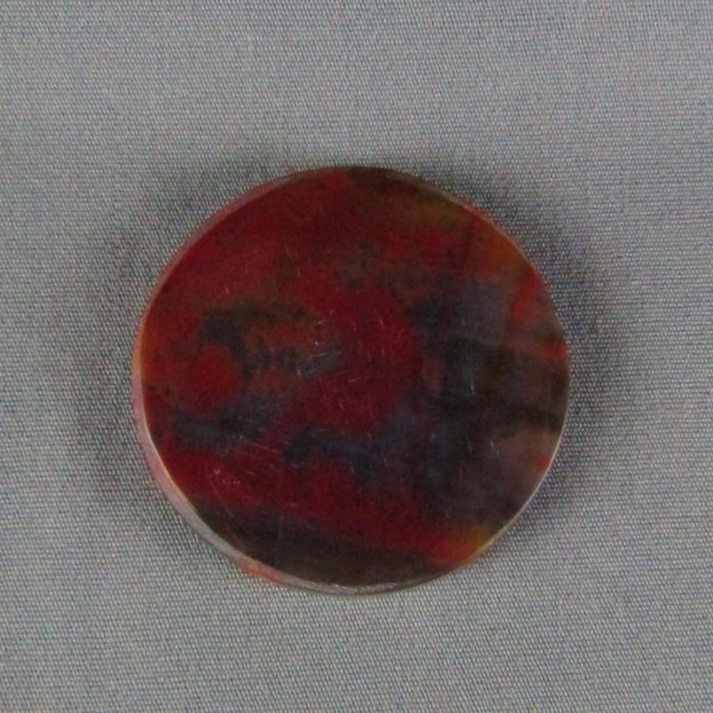 Petrified Wood Cabochon