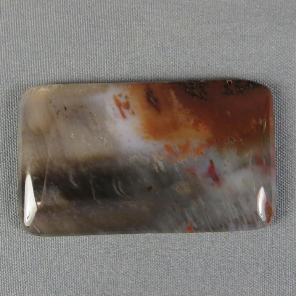 Petrified Wood Cabochon