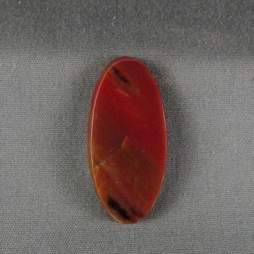 Petrified Wood Cabochon
