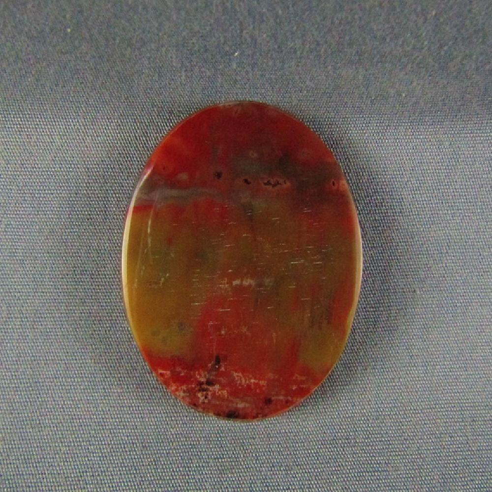 Petrified Wood Cabochon