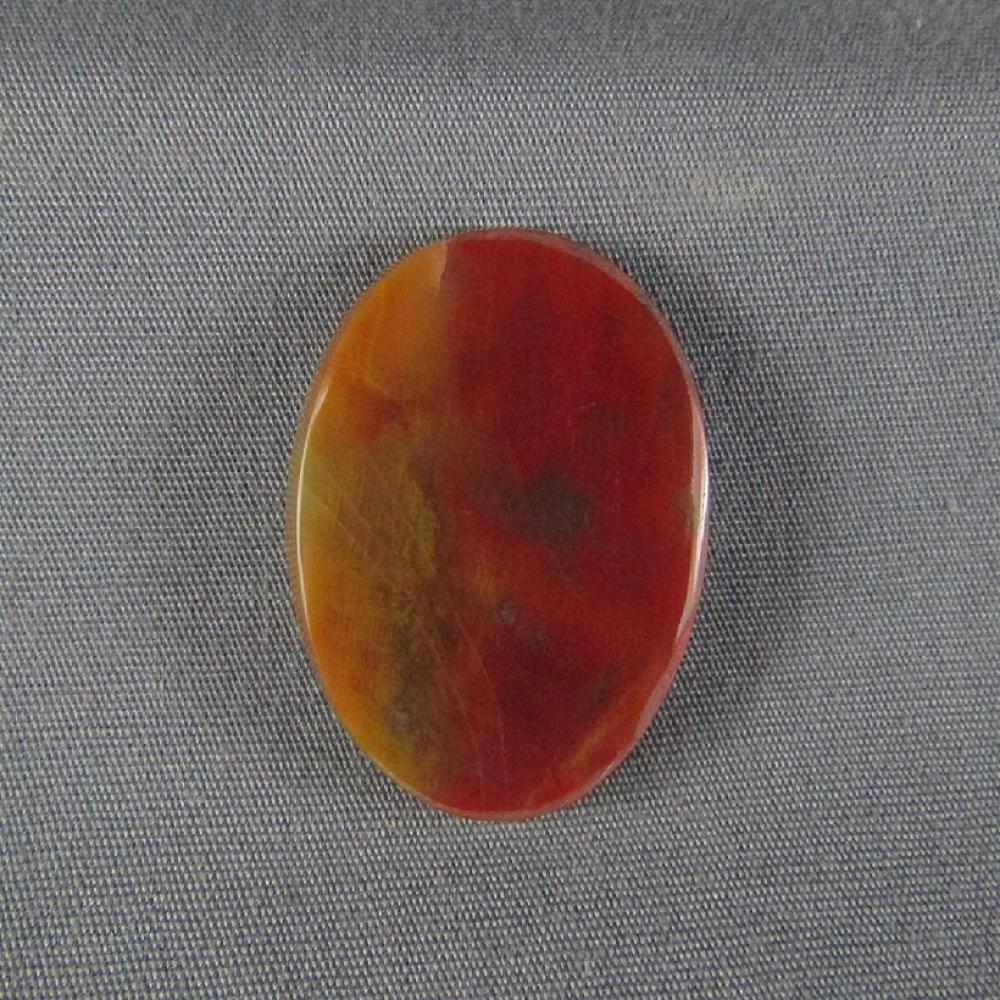 Petrified Wood Cabochon