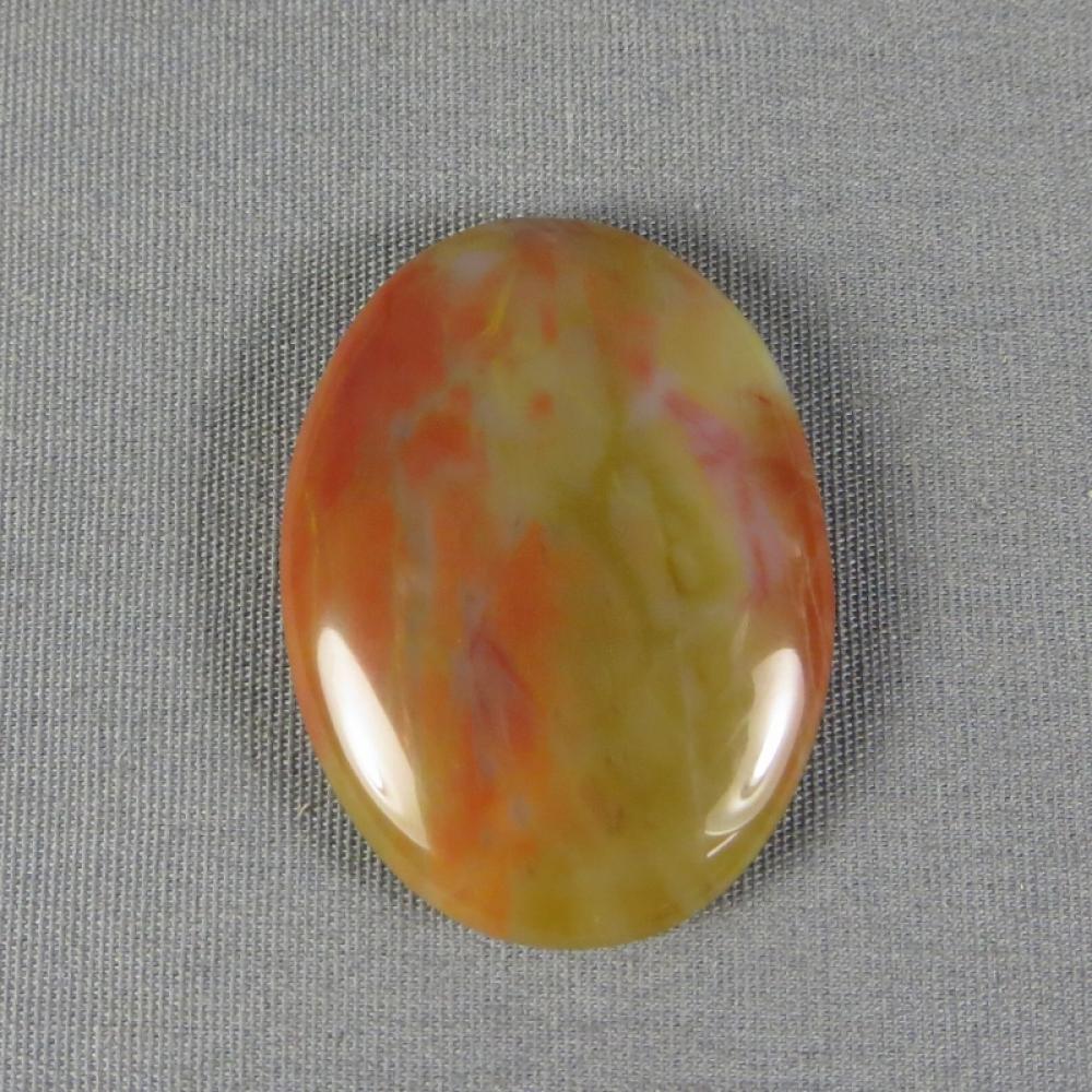 Petrified Wood Cabochon