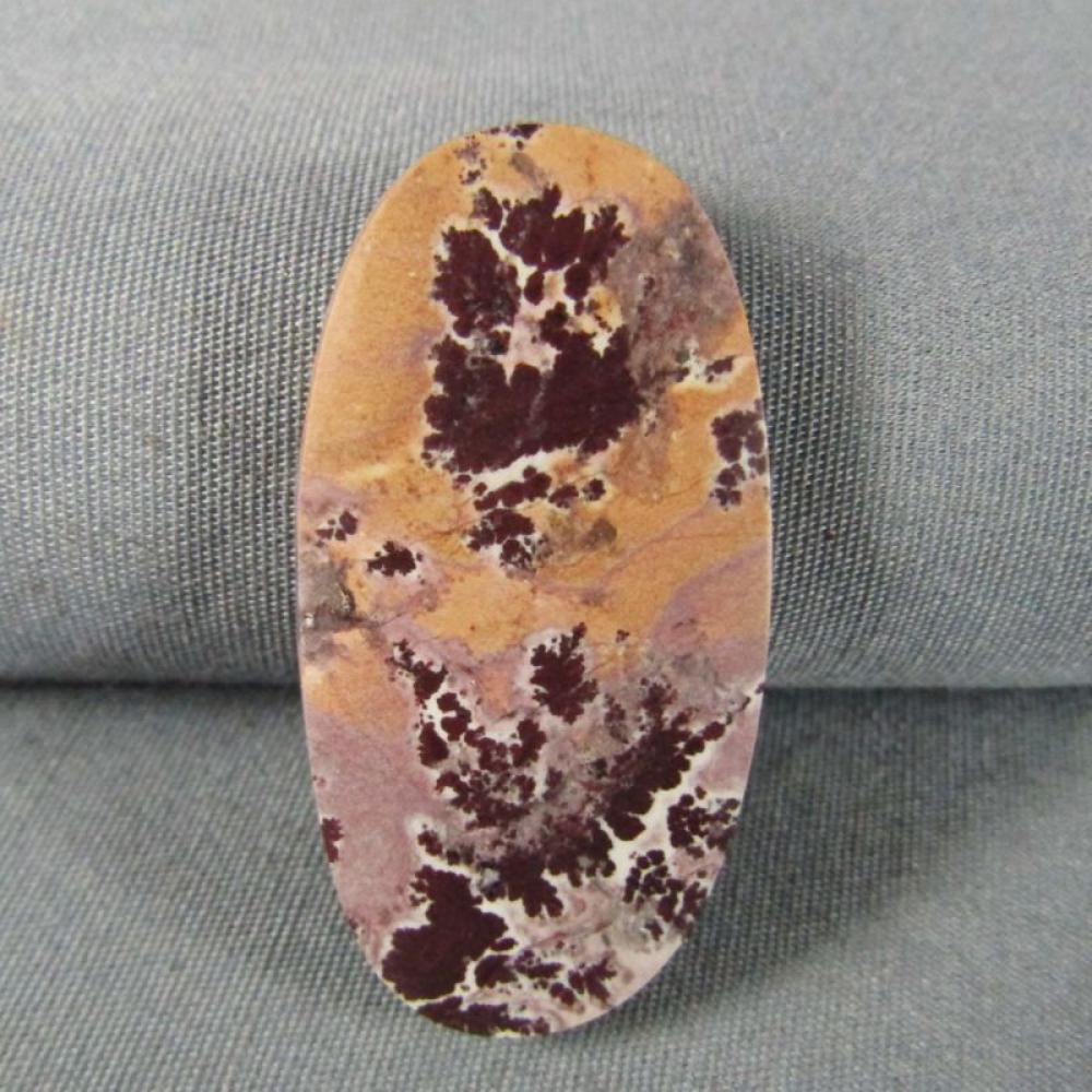 Sonoran Dendritic Rhyolite Cabochon