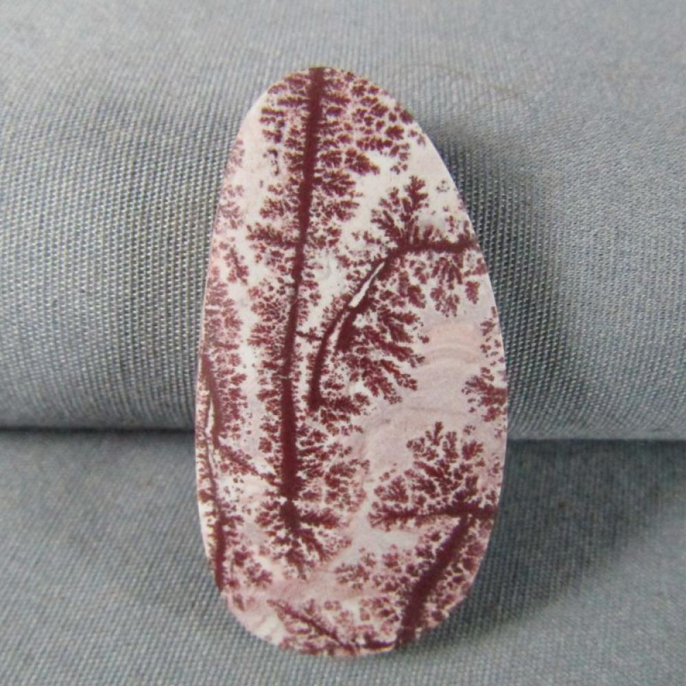 Sonoran Dendritic Rhyolite Cabochon