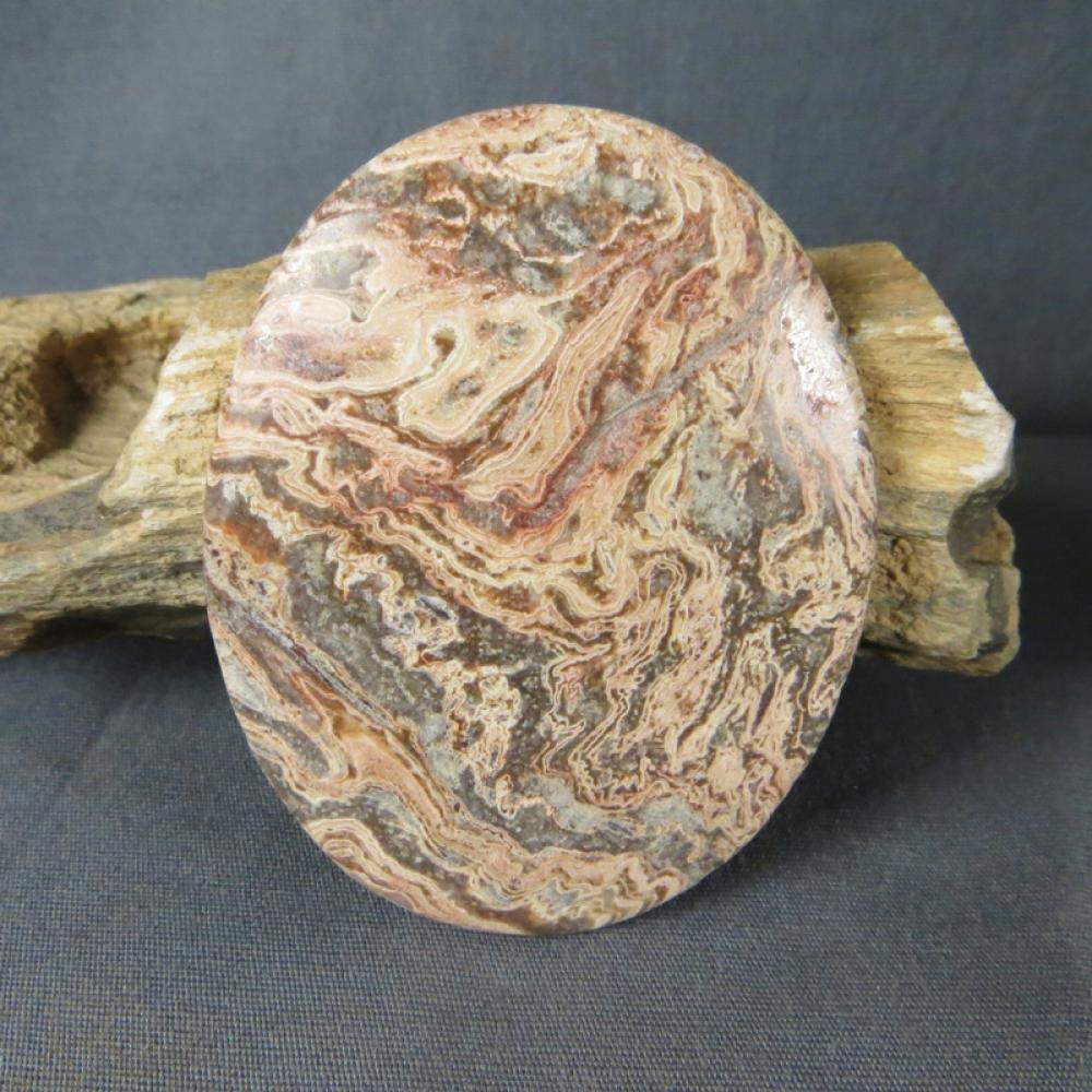 Squirrel Tail Stromatolite Cabochon
