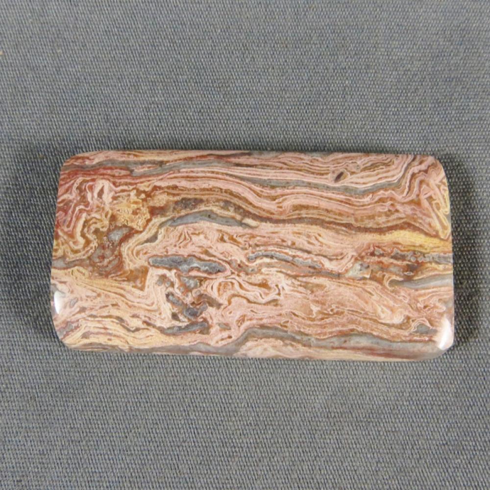 Squirrel Tail Stromatolite Cabochon