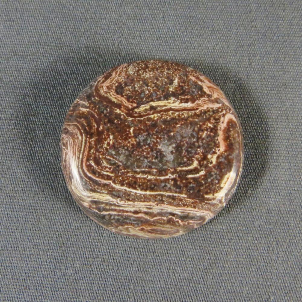 Squirrel Tail Stromatolite Cabochon