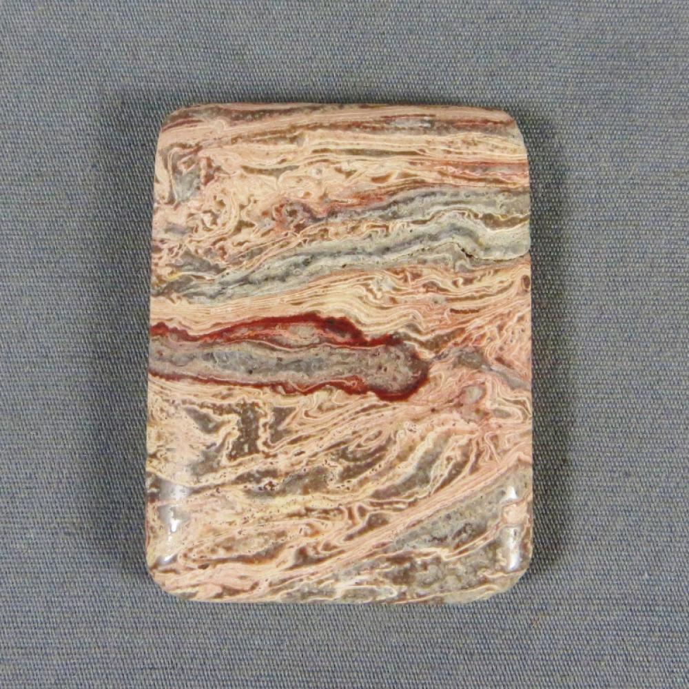 Squirrel Tail Stromatolite Cabochon