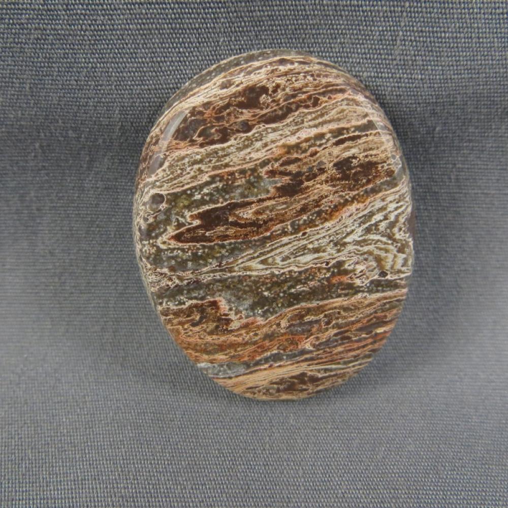 Squirrel Tail Stromatolite Cabochon
