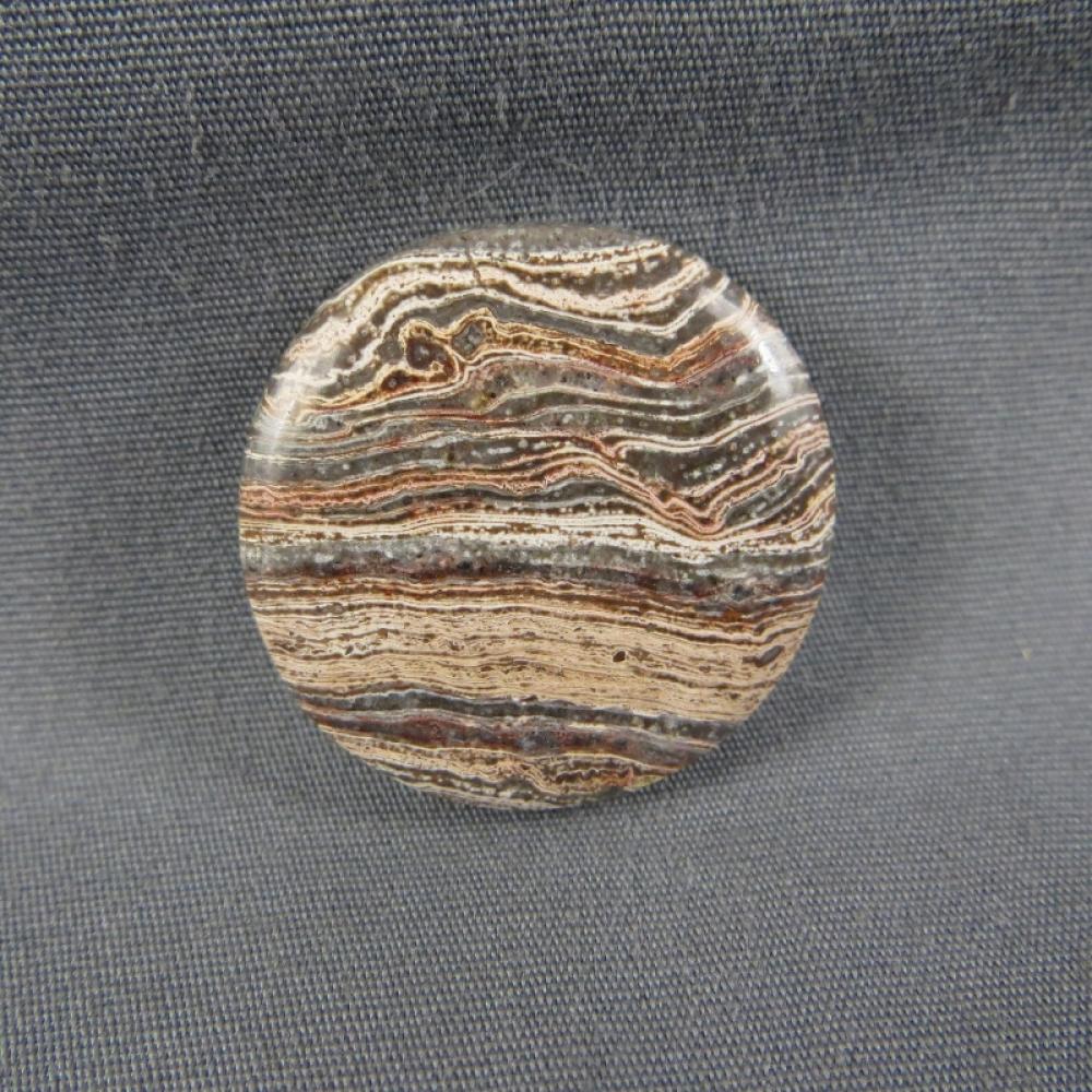 Squirrel Tail Stromatolite Cabochon