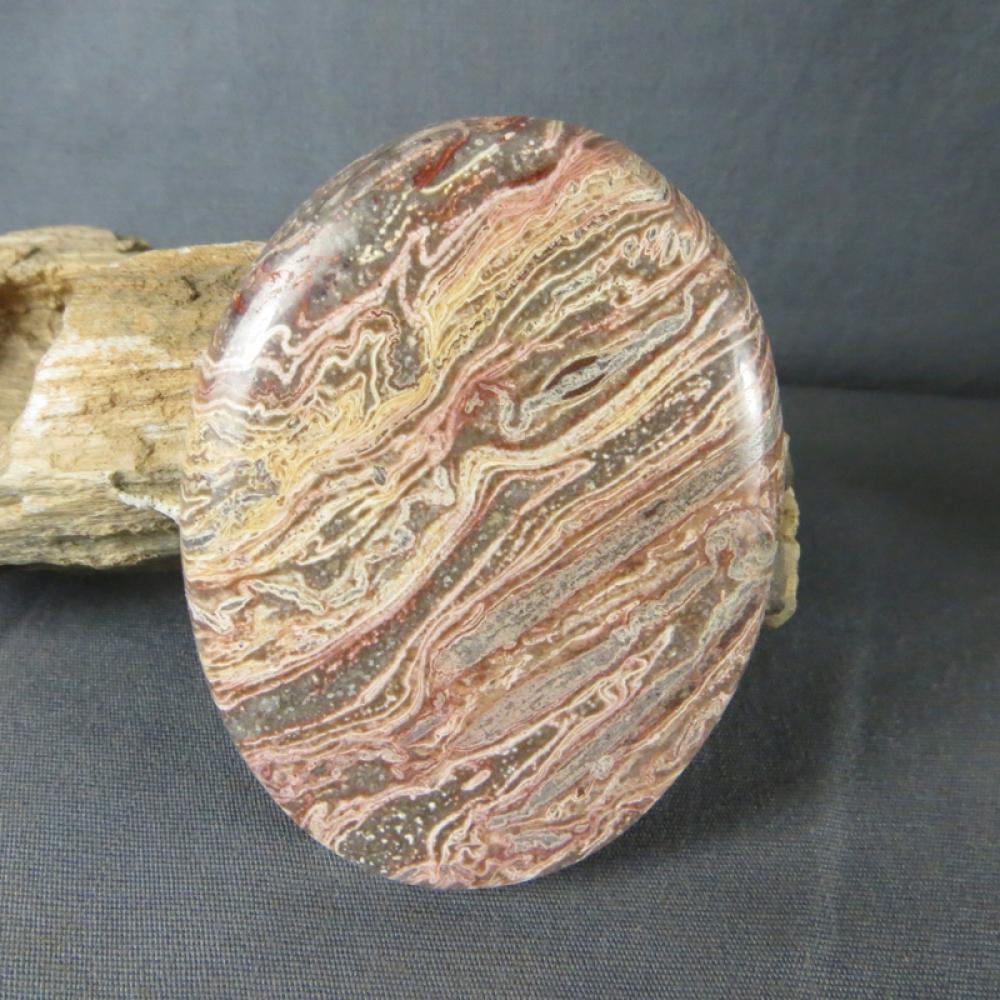 Squirrel Tail Stromatolite Cabochon