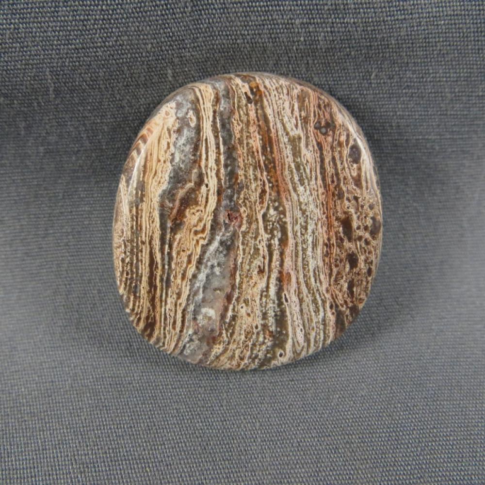 Squirrel Tail Stromatolite Cabochon