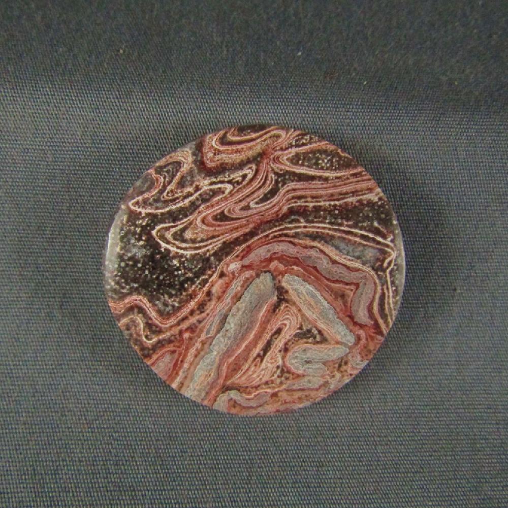 Squirrel Tail Stromatolite ROUND Cabochon