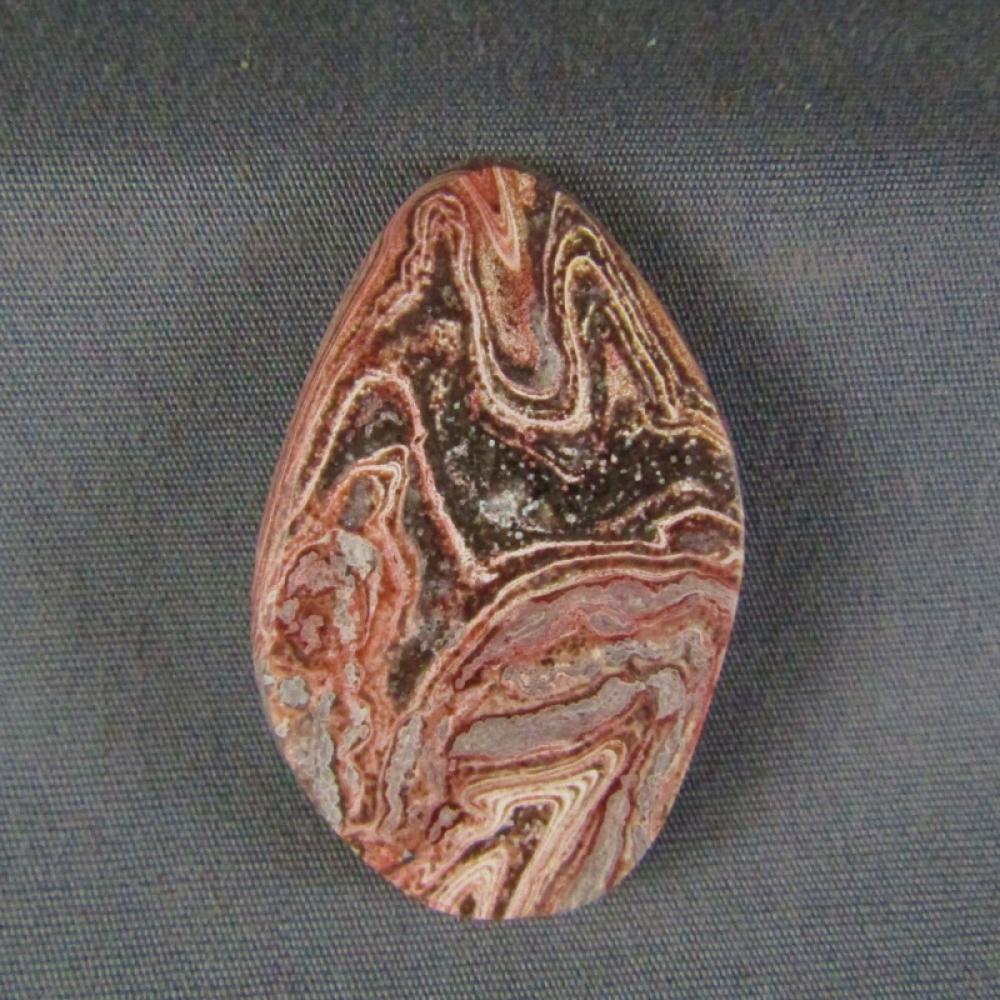 Squirrel Tail Stromatolite Cabochon
