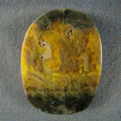 Bumblebee Jasper Cabochon