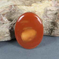 Bruneau Jasper Cabochon