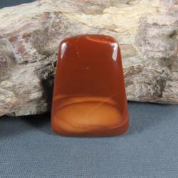 Bruneau Jasper Cabochon