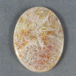 Crazy Lace Agate Cabochon