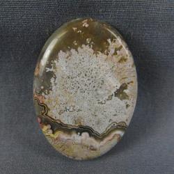 Crazy Lace Agate Cabochon