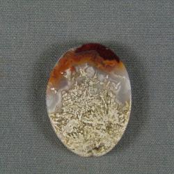 Crazy Lace Agate Cabochon