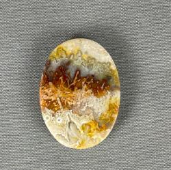 Crazy Lace Agate Cabochon