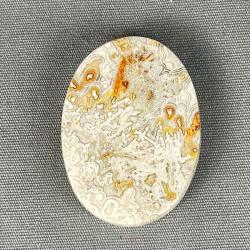 Crazy Lace Agate Cabochon