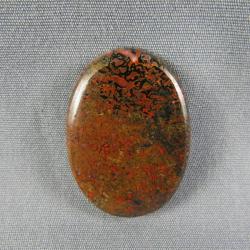 Dinosaur Bone Cabochon