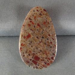 Dinosaur Bone Cabochon