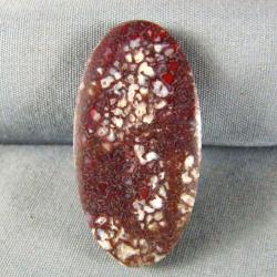 Dinosaur Bone Cabochon