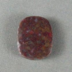 Dinosaur Bone Cabochon