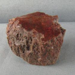 Dinosaur Bone Specimen