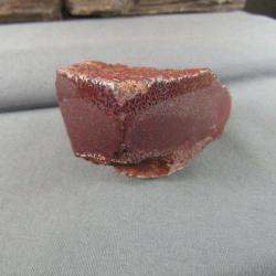 Dinosaur Bone Specimen