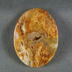 Regency Rose Plume Agate Cabochon