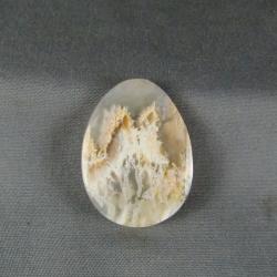 Graveyard Point Plume Agate Cabochon