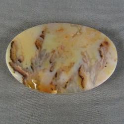 Graveyard Point Plume Agate Cabochon