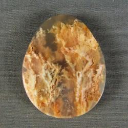 Graveyard Point Plume Agate Cabochon