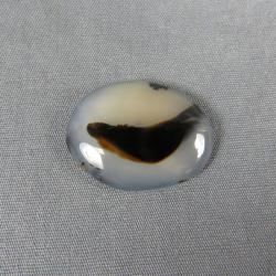 Montana Agate Cabochon
