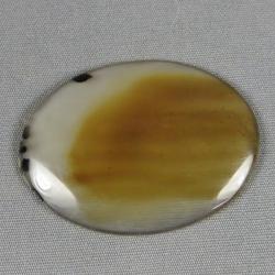 Montana Agate Cabochon