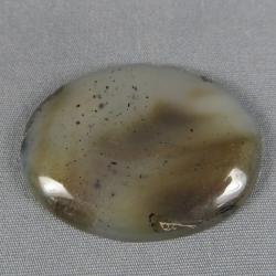 Montana Agate Cabochon
