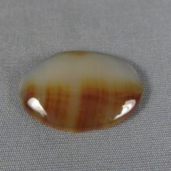 Montana Agate Cabochon