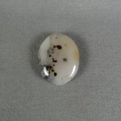 Montana Agate Cabochon