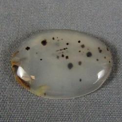 Montana Agate Cabochon