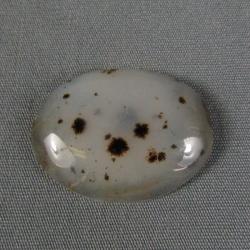Montana Agate Cabochon