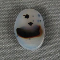 Montana Agate Cabochon
