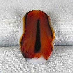 Montana Agate Cabochon