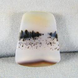 Montana Agate Cabochon