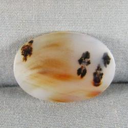 Montana Agate Cabochon