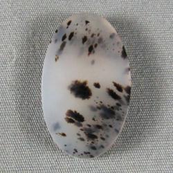 Montana Agate Cabochon